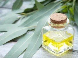 تصویر 3 از فروش روغن کنجد خالص و طبیعی + قیمت خرید به صرفه